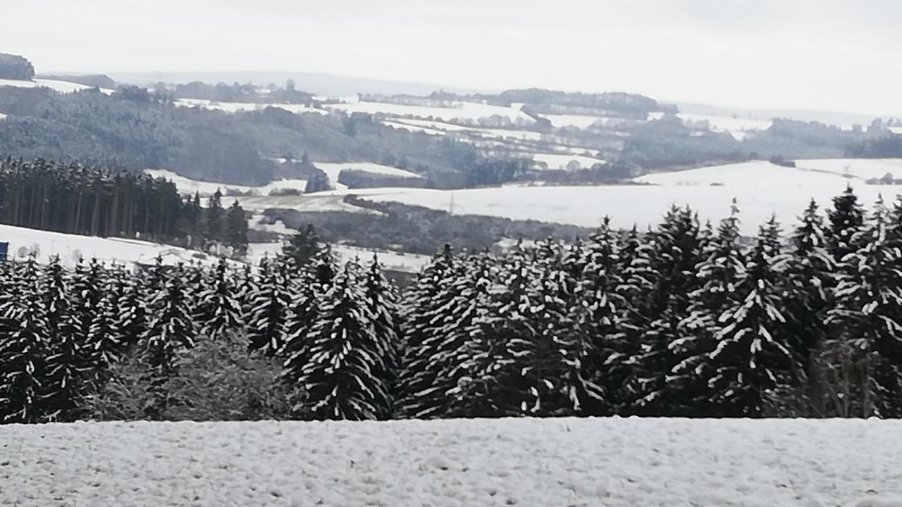 Eifel-Ferienhaus Marga Prüm Esterno foto